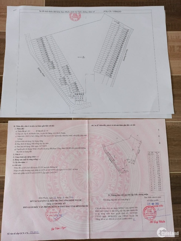 CHUYỄN NHƯỢNG DỰ ÁN 1/500 KHU DÂN CƯ PHƯỚC SƠN BÙ ĐĂNG – BÌNH PHƯỚC