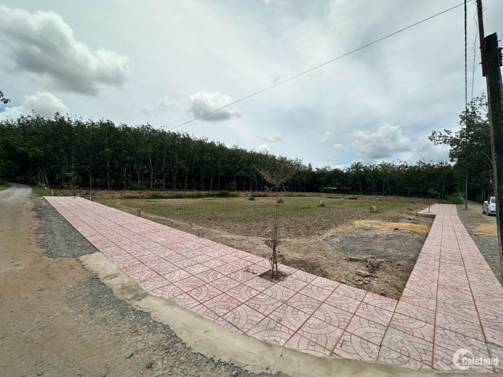 Chỉ cần 70 triệu đã sở hữu đất Tây Ninh full thổ cư - Mua 1 tặng 1