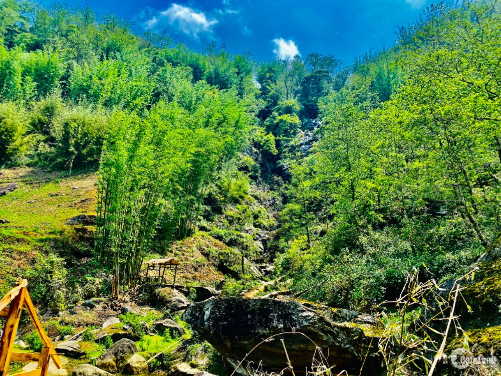 Ban đất diện tích gần ha trên địa bàn Sa Pả, thị xã SaPa