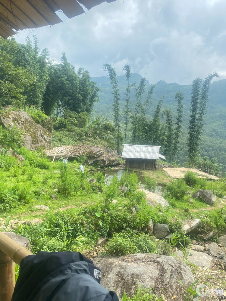 Ban đất diện tích gần ha trên địa bàn Sa Pả, thị xã SaPa