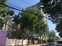 Bán biệt thự mt đường Nguyễn Văn Hưởng, Thảo Điền. Dt 533m2. Lh 0903652452
