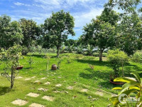 Bán mảnh đất vườn giá rẻ 3.300m2 tại trung tâm Uỷ ban xã Diên Đồng - H.Diên Khán