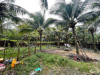 Bán đất vườn dừa trung tâm Dương Đông Phú Quốc
