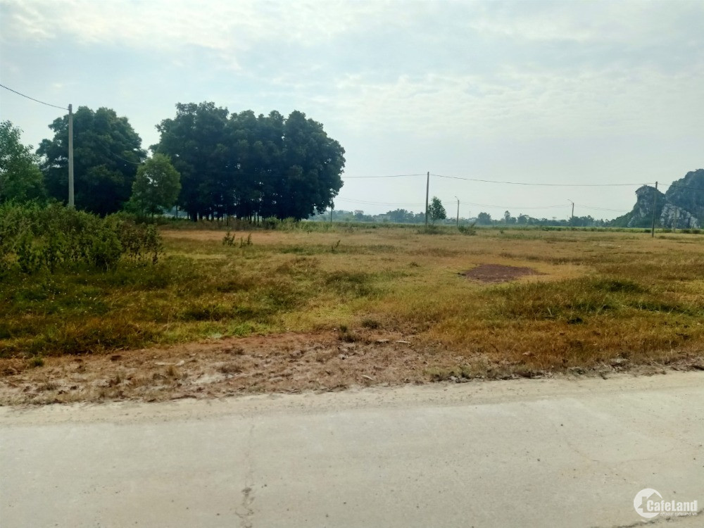 Bán đất phân lô khu dân cư Hoàng Tân, Quảng Yên, Quảng Ninh