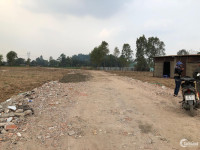 Cho thuê đất làm bãi xe, bãi phế liệu Quận Bình Tân