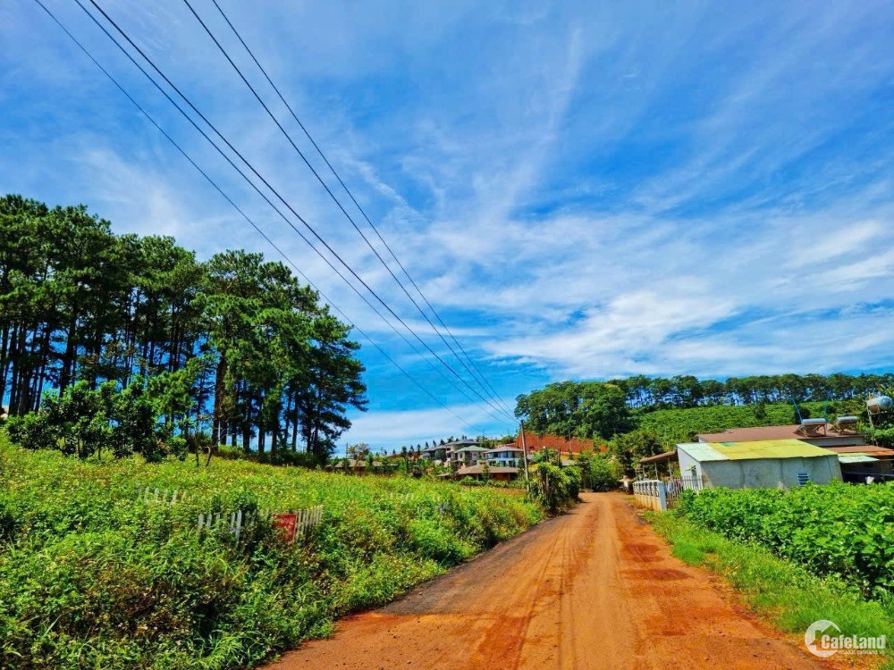 Chính chủ cần bán lô đất thổ cư tại Lộc Nga, Bảo Lộc, Lâm Đồng
