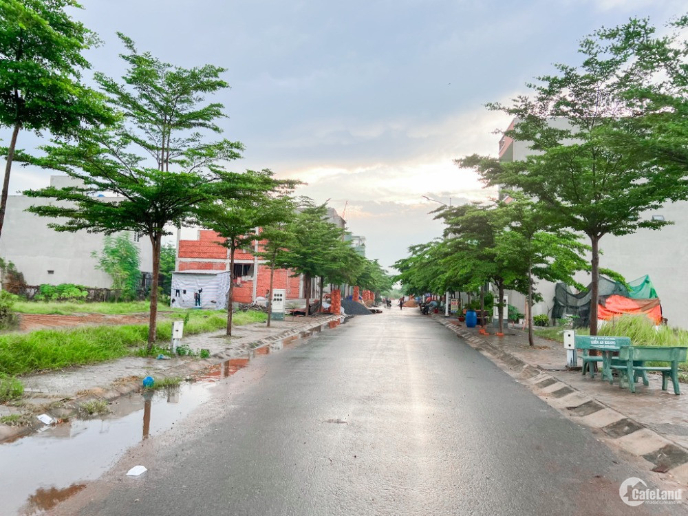 Bán gấp lô đất thổ cư - 123m2 - đường nhựa - cổng sau trường Nguyễn Văn Tây
