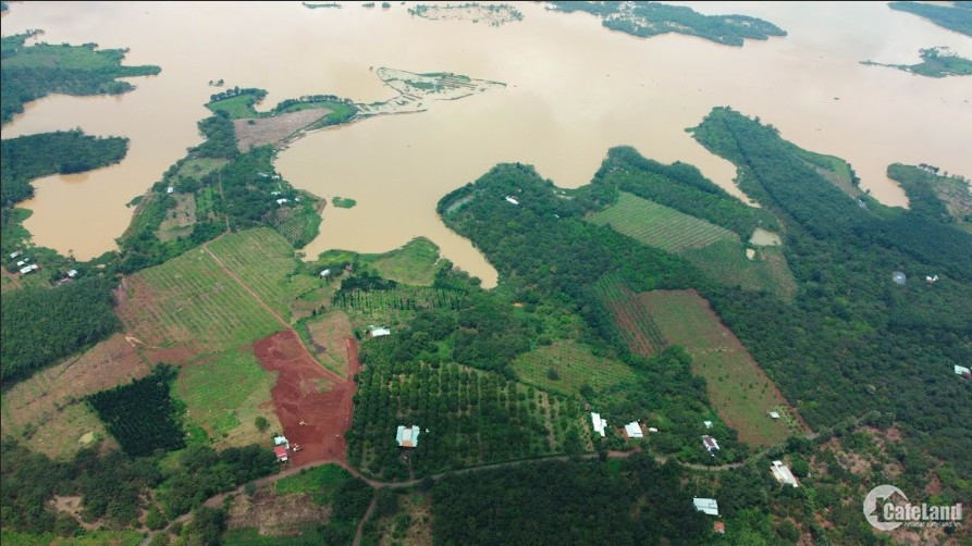 Cần bán 1063.6m2 đất Bình Phước gần hồ thuận tiện trồng trọt, chăn nuôi giá 299