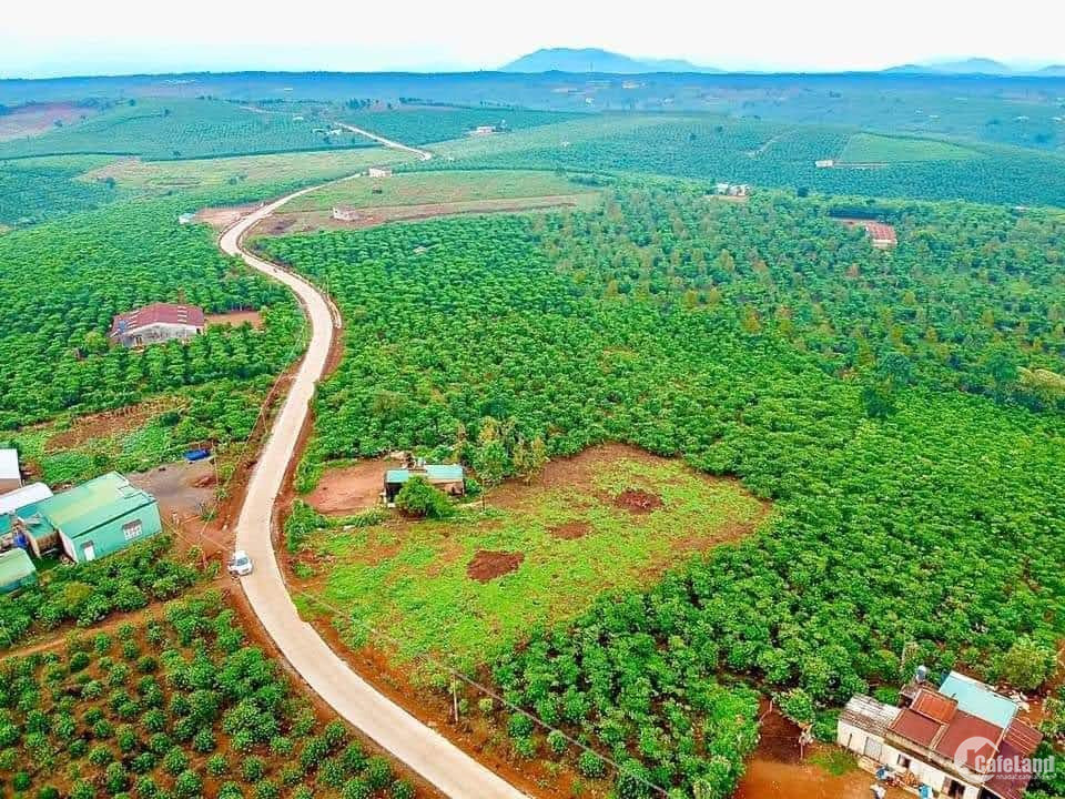 Bán gấp Chính chủ cần bán lô đất thổ cư tại Lộc Nga, Bảo Lộc, Lâm Đồng