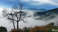 Đất Bảo Lộc 1000m2, sổ hồng thổ cư, suối bao quanh, săn mây tại nhà- Làng oa