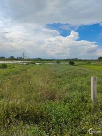 Chính chủ cắt lỗ lô đất thổ cư đường KDC ấp 5 xã Phước Vân, Cần Đước, 5x35m SHR