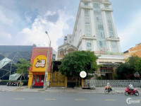 Biệt thự vip MTKD Tân Sơn Nhì - DT 8x32m - đúc 5 tấm - NTCC có thang máy - giá