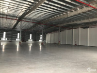 Cho thuê 8.400m2 xưởng 1 Tầng mới tại Khu công nghiệp Thuận Thành