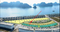 SOS Tặng ngay 160tr khi sở hữu liền kề 37tr/m² căn 111m² view trực vịnh sẵn sổ