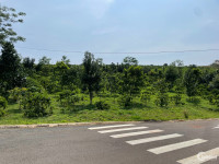 Đất 2 mặt tiền ngang 10m phường Lộc Tiến, tp.Bảo Lộc, Lâm Đồng