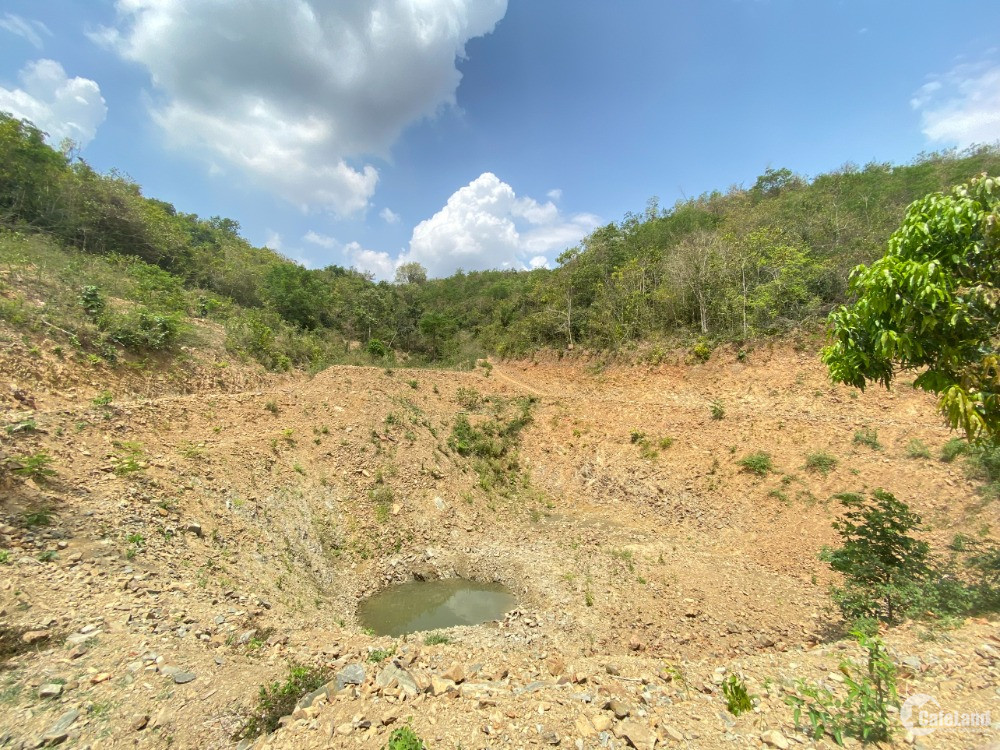 Bán nhanh lô đất farm view Hồ cực đẹp tại Ninh Hòa - Khánh Hòa giá rẻ