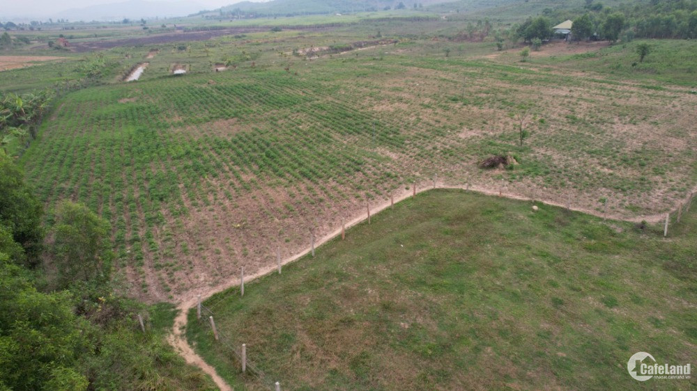 Đất vườn Ninh Xuân Ninh Hòa 4,7ha cách đường nhựa 1km, thích hợp làm farm