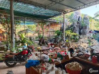Chính chủ cần bán lô đất nhà và quán cà phê, ăn uống tại Khánh Vĩnh, Khánh Hòa