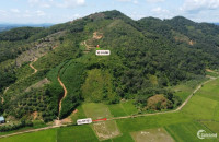 1.13 ha đất view đồi Cát Tiên, Lâm Đồng, giá rẻ chỉ 390 triệu, làm homestay ok