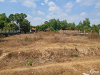 Bán gấp đất nông nghiệp tại ấp Lộc Hòa, xã Lộc Giang, huyện Đức Hòa, tỉnh Long A