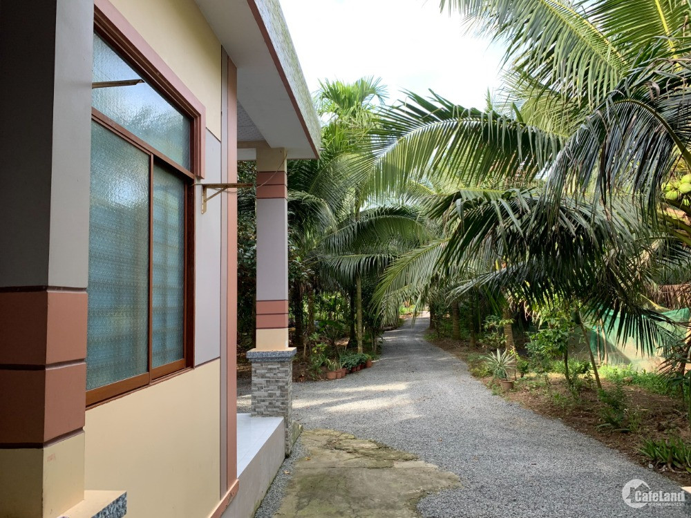 NHÀ VƯỜN GẦN TRUNG TÂM THỊ TRẤN GIỒNG TRÔM ĐƯỜNG XE 16 CHỖ TỚI SÂN