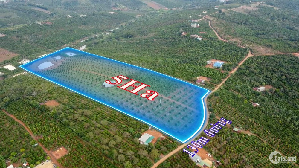 Bán đất vườn sầu riêng ĐăkNông, 5ha 130m mặt đường bê tông, QH thổ cư, giá 7,2 t