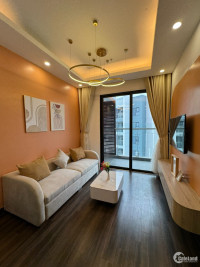 Cho thuê căn hộ 2 ngủ , 2 vệ sinh Hoàng Huy Commerce full nội thất giá 10 triệu