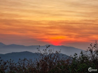 Bán đất Làng Oa 1000m2 - BĐS thiên nhiên có view hồ, suối, săn mây, an ninh 24/7