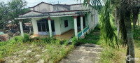 Cần bán đất chính chủ mặt tiền đường Nguyễn Thị Rành-Củ Chi