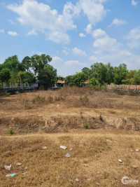 Bán đất Mặt tiền đường ĐT 821, tại xã Lộc Giang, huyện Đức Hòa, tỉnh Long An.