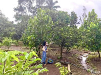 Đất ngộp 5166,6m2 vườn cây ăn trái có sẵn nhà cấp 4 (điện nước có sẵn)