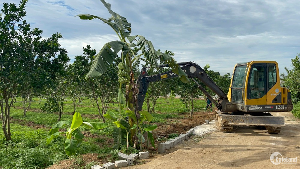 em cần bán đất 195tr tại KHU CÔNG NGHIỆP BẢO HIỆU - YÊN THỦY - HÒA BÌNH