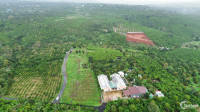 Bán đất chính chủ 205,3m2, thổ cư 100m2 tại thôn 4 Tân Lạc