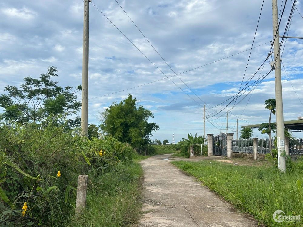 Bán 79m x 84m Đất ONT Tân Tiến - TX LaGi Sổ hồng riêng Gần Biển 800tr/ sào