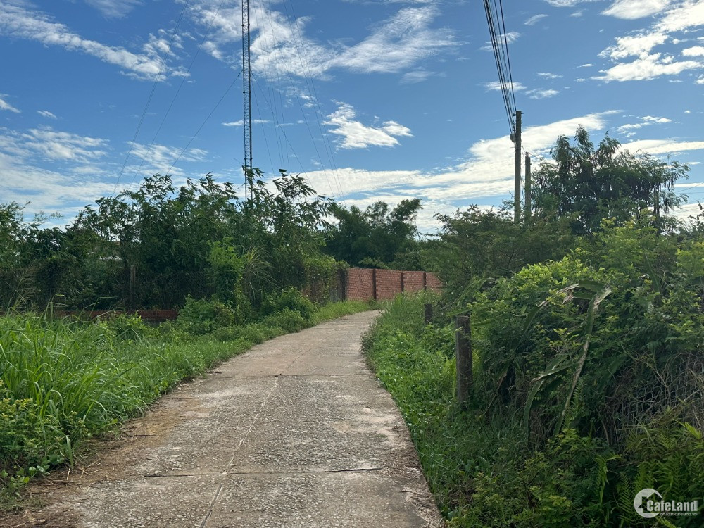 Bán 79m x 84m Đất ONT Tân Tiến - TX LaGi Sổ hồng riêng Gần Biển 800tr/ sào