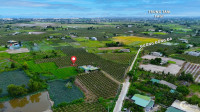 Bán Đất vườn DT: 8257m2 có sẵn 60m2 thổ cư, xã Tân Tiến, TX LaGi. Giá 315k/1m2