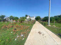 Bán 1.3 sào đất thổ cư Tân Phước, Thị xã LaGi gần 577 GIÁ NGỢP 160TR/M NGANG