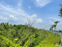 Bán 48m x 45m đất mặt tiền Hùng Vương, thị xã LaGi giá ngộp 250tr/m ngang