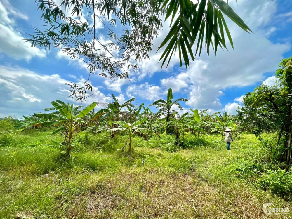 Chỉ từ 300 triệu, sở hữu View ngay Hồ Trị An - Đồng Nai