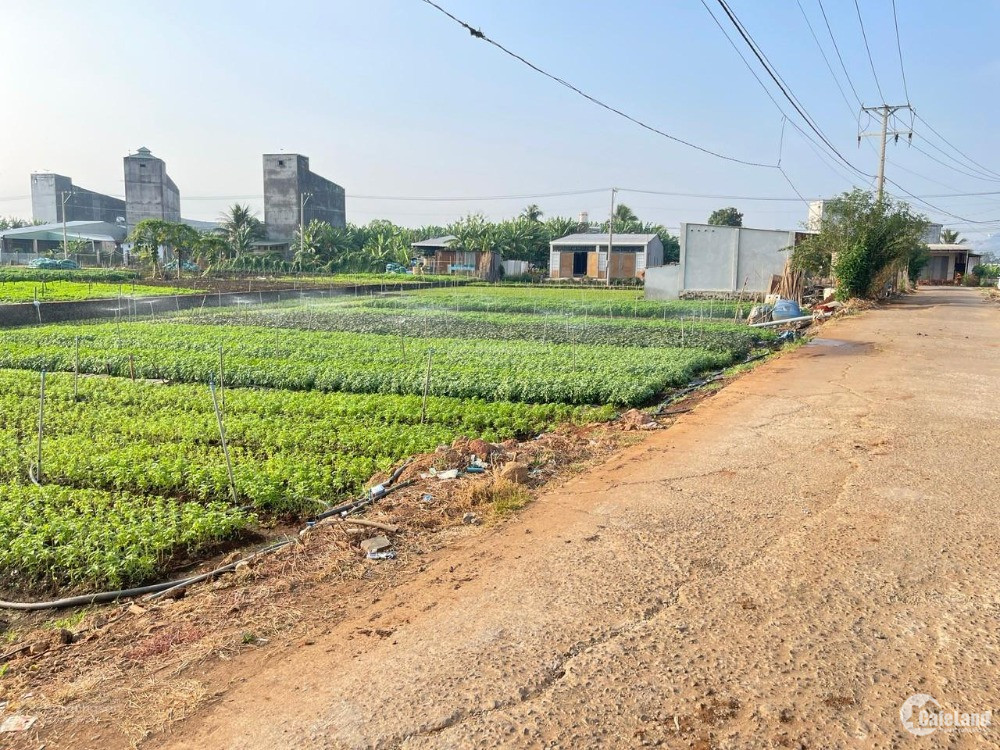 Cơ hội sở hữu đất nền thổ cư tại Thống Nhất, Đồng Nai - Vị trí đắc địa, giá hợp