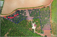 quá rẻ 380tr  sở hữu đất Ven TP Đà Lạt