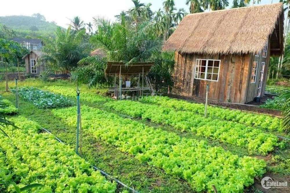 Bán Đất Vườn Thoáng Mát, View Hồ Trị An - Tiềm Năng Phát Triển Mạnh