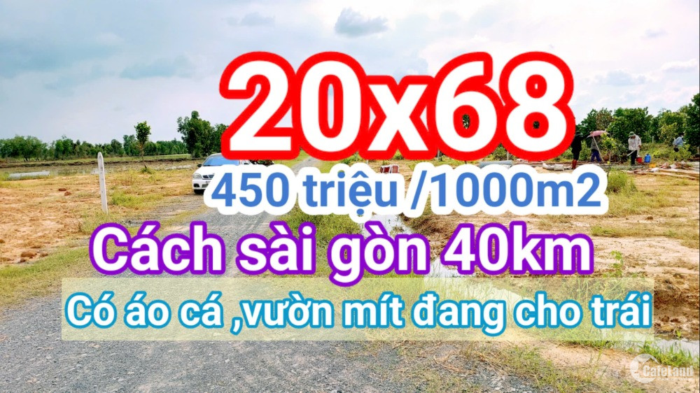 1500m2 (20x68) lập vườn giá ngộp