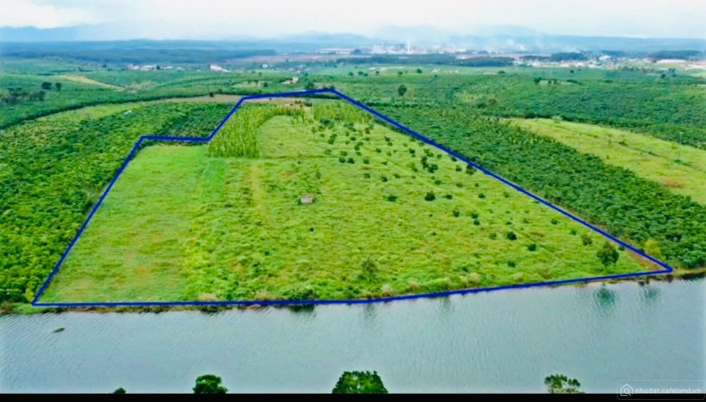 ️    BÁN ĐẤT VIEW HỒ CÁNH BƯỚM - BẢO LÂM, LÂM ĐỒNG    ️