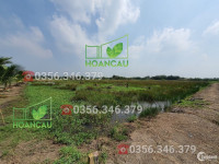 Ngộp. Giảm hơn nửa giá. 3600m2 đất vườn, ngay tuyến cầu Cát Lái tại Nhơn Trạch