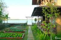 Đất Farm hạ giá - lộc lớn cho KH, đất trên đồi ngắm hồ Trị An