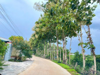 Chị Chủ cần nhượng gấp nhà vườn gần hồ Trị An, sẵn nhà nhỏ, cây ăn trái