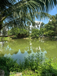 Bán 2,2 ha đất TMDV ngay Tân Cảng, Phước Tân, Biên Hòa, Đồng Nai diện tích 22000