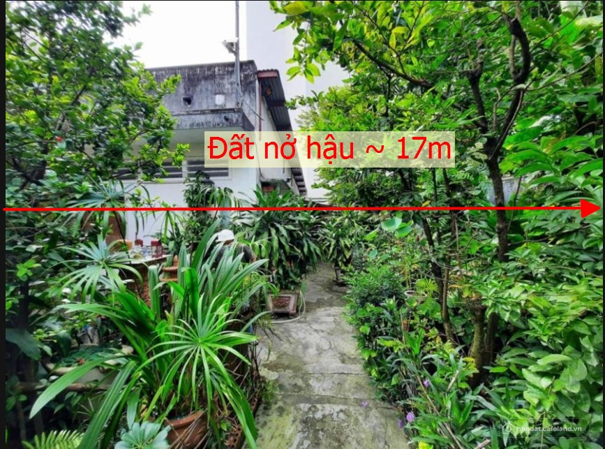 215M2 13,5 TỶ 104/8 NGUYỄN THÁI SƠN P. 03 NHÀ VƯỜN >< BV. 175