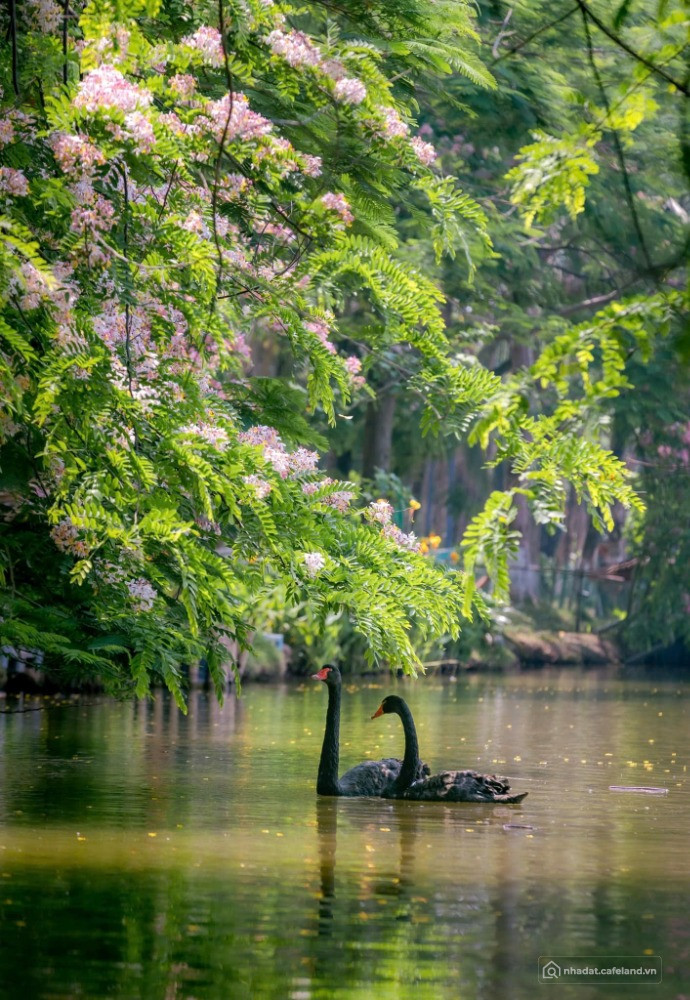 Ecopark Retreat Long An, Tuyệt tác lấy ý tưởng biệt thự giữa rừng thiên nhiên